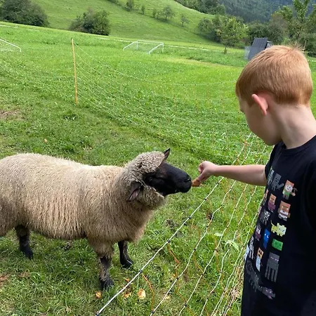 Gæstehus Lunzferien Lunz am See