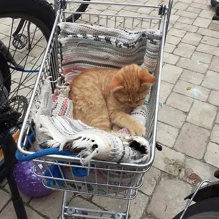 Lunzferien Gasthuis 3*