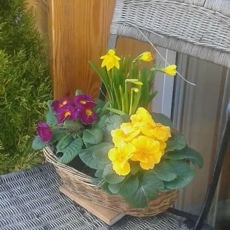 Lunzferien