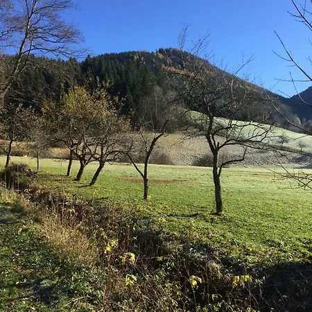 Maison d'hôtes Lunzferien Lunz am See