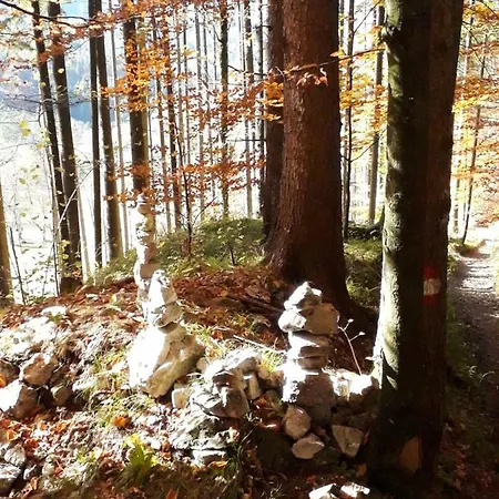 Lunzferien Maison d'hôtes