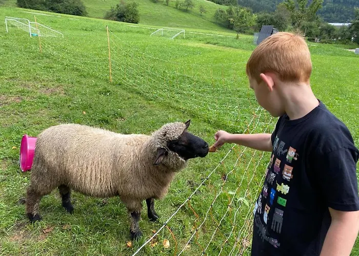 בית הארחה Lunzferien לונץ אם סי