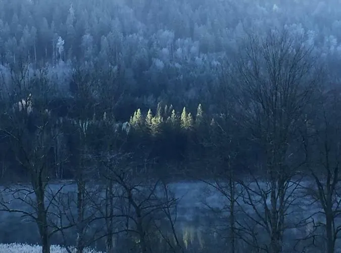 Lunzferien בית הארחה