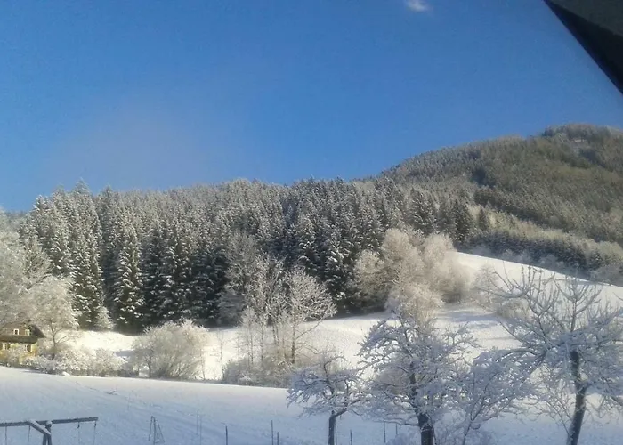 Lunzferien Pensión 3*