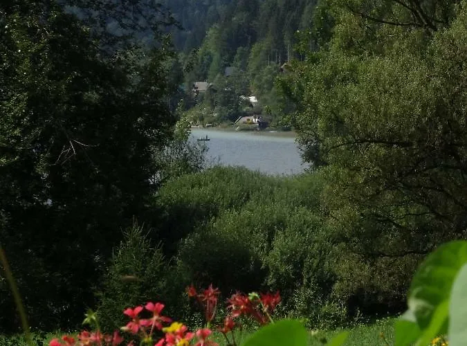 Lunzferien Pensión 3*