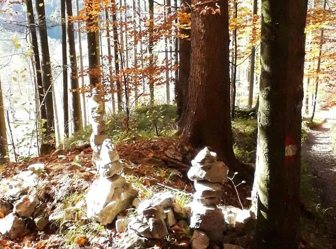 Lunzferien בית הארחה